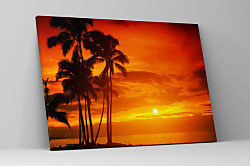 Obraz Horúce slnko za palmami 1389